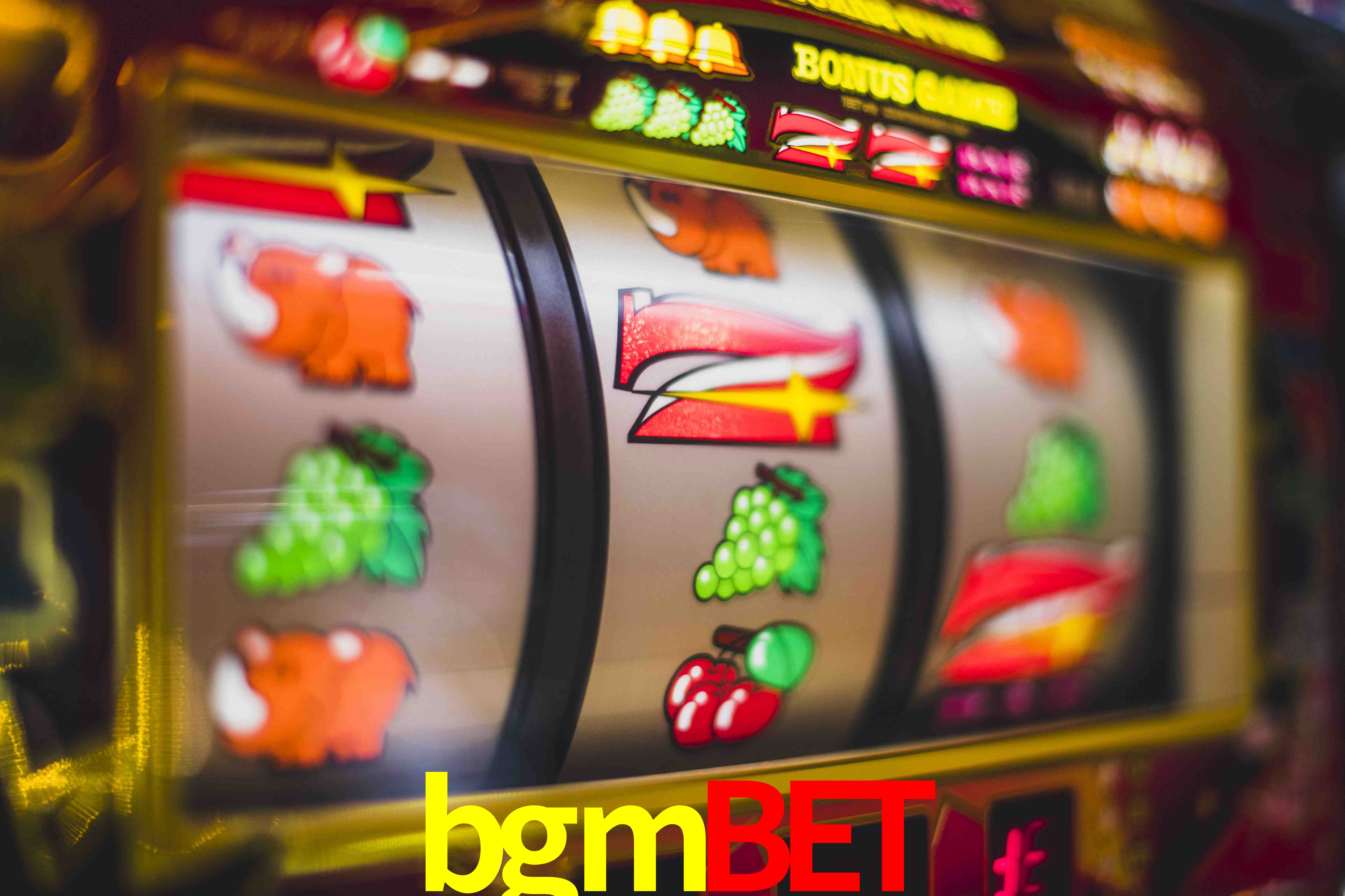 Football Betting bgmbet